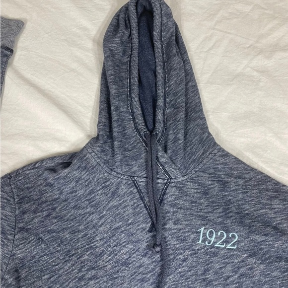 Hollister Women Blue Cotton Embroidered Hoodie Size XS - Picture 6 of 8